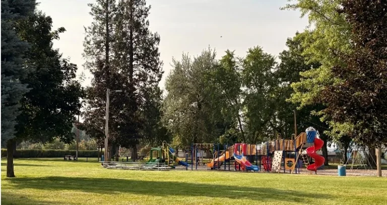 Playground equipment under tall pines at Athol City Park